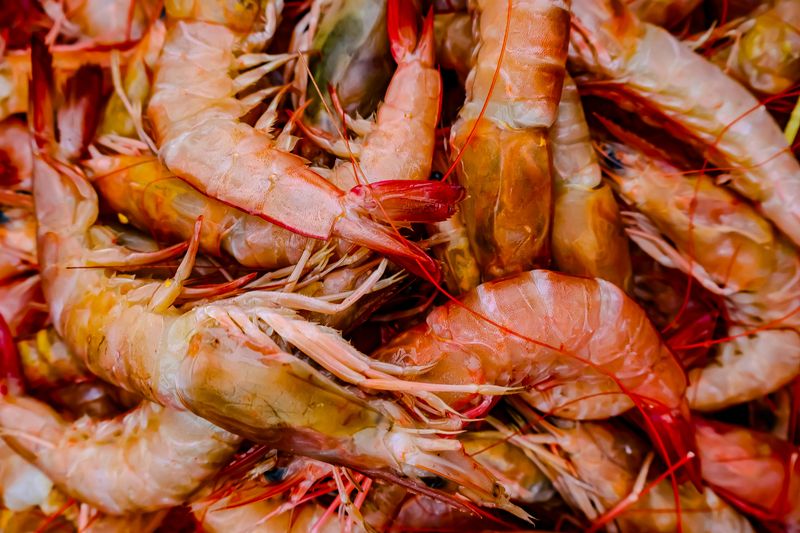 Key West Pink Shrimp