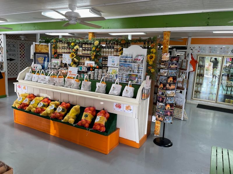 The Farm Makes A Genuinely Fun Family Activity