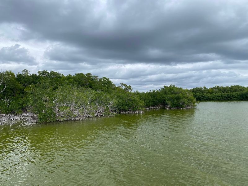 Wildlife Encounters Closer Than You Expect