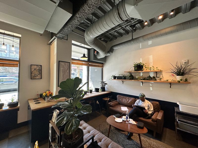 Freya Bakery & Cafe