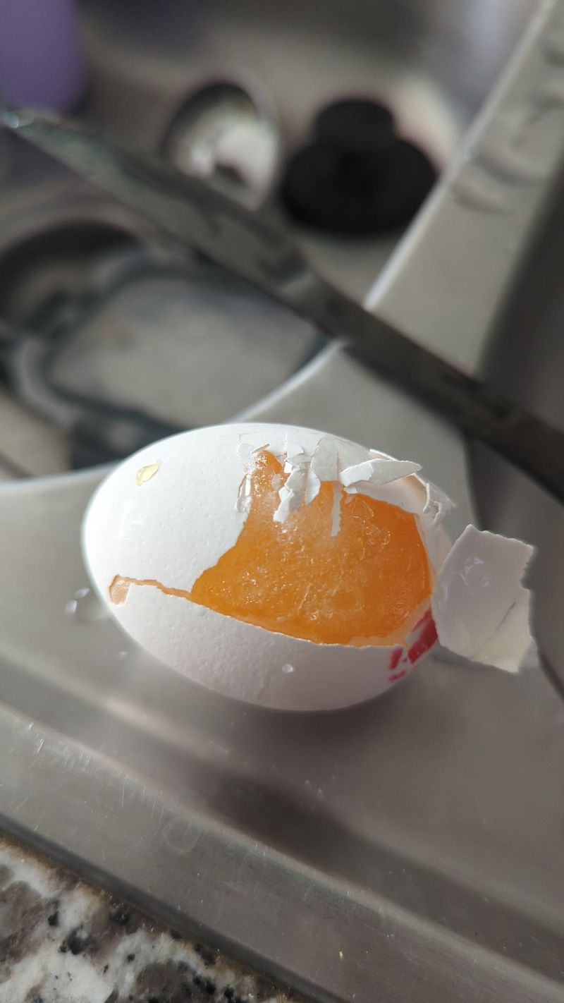 Eggs in Shells Crack And Contaminate