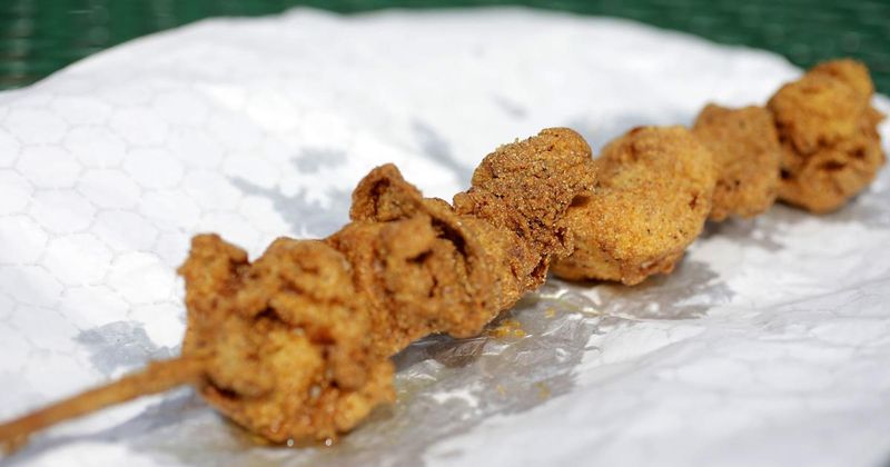 Alligator On A Stick