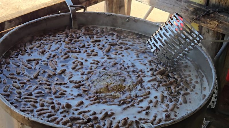 Fried Pies And Boiled Peanuts Will Test Your Willpower