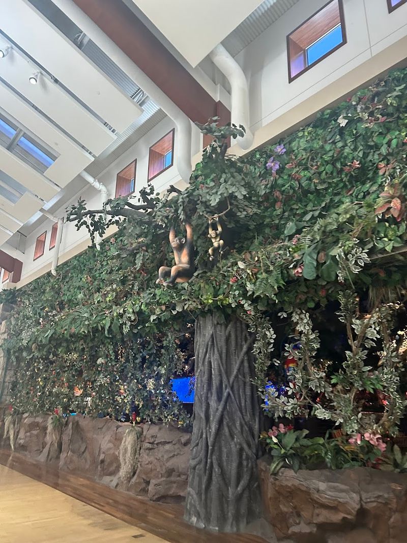 Hours And Best Times To Visit