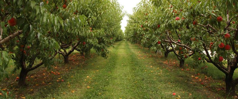 Hours, Location, And What To Know Before You Go