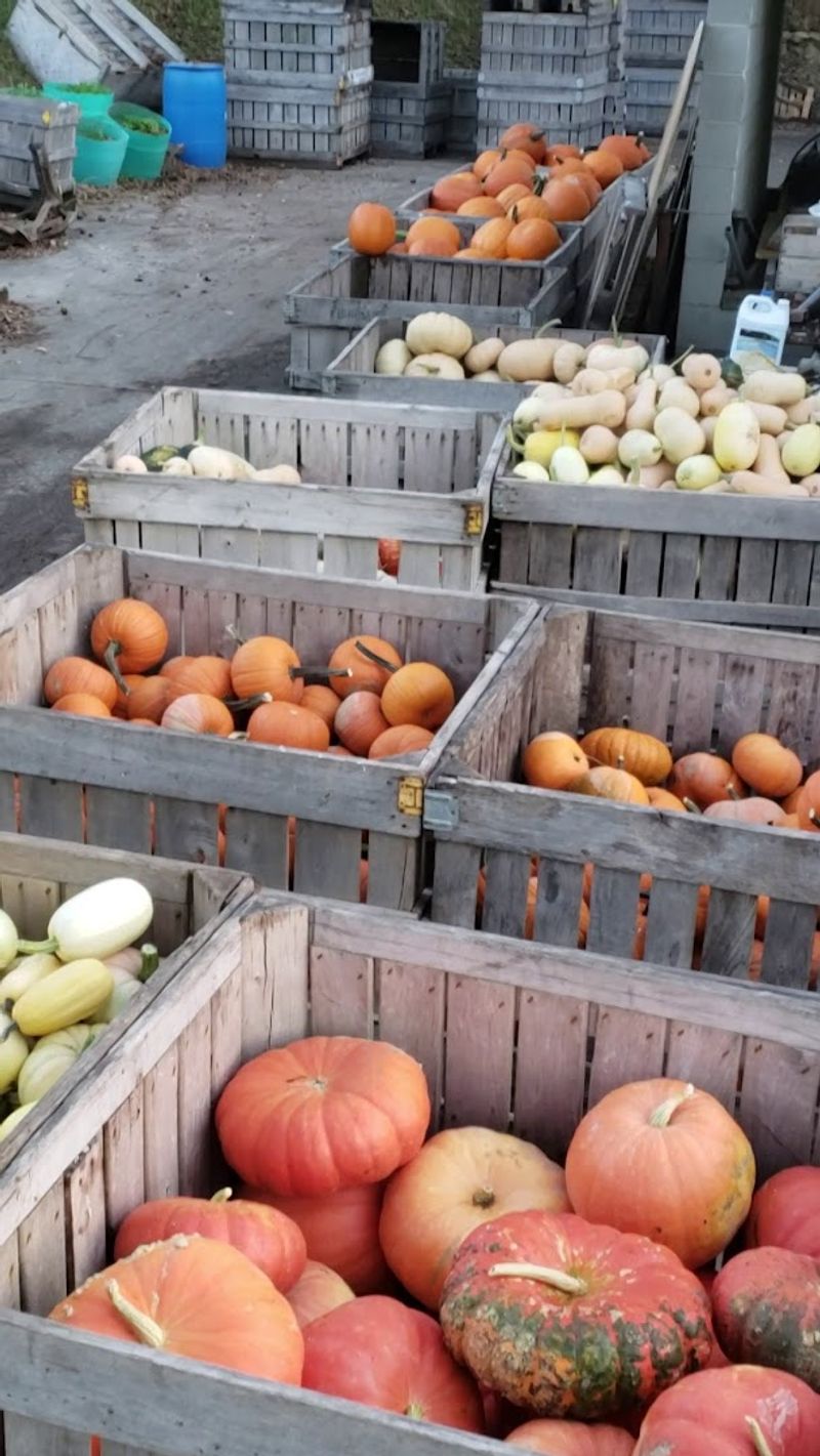 Supporting Local Matters More Than Ever