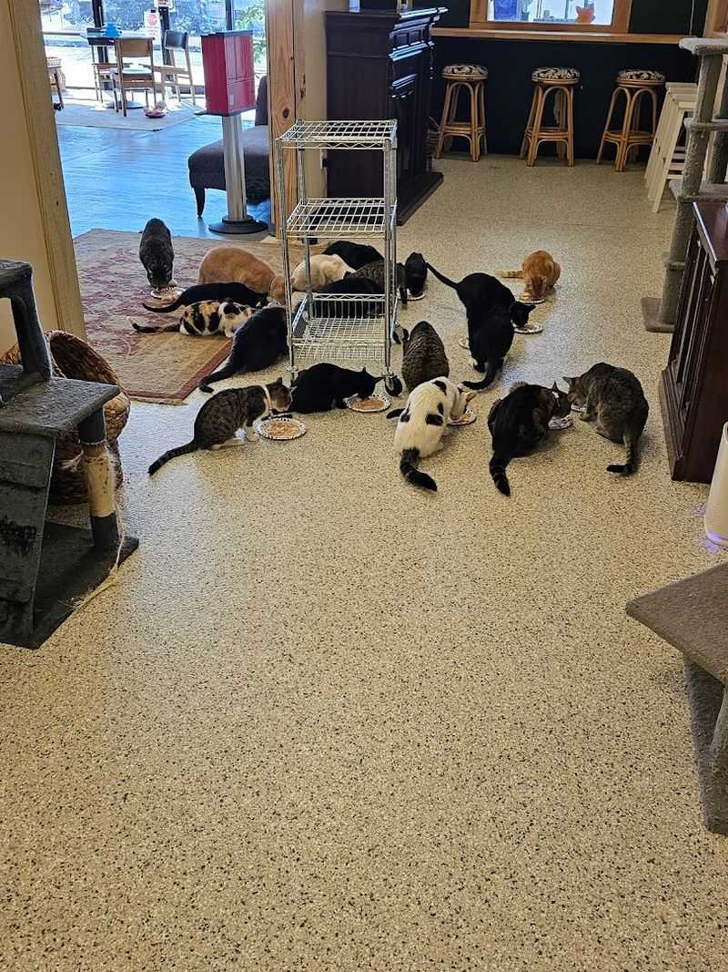 Reservation Based Entry Keeps The Experience Relaxed