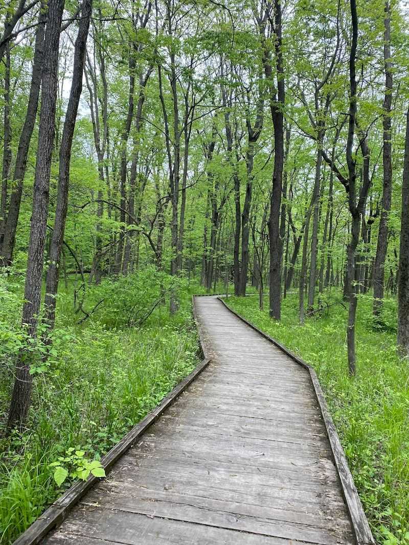 Friendship Grove Nature Playscape At Anita Purves Nature Center, Urbana