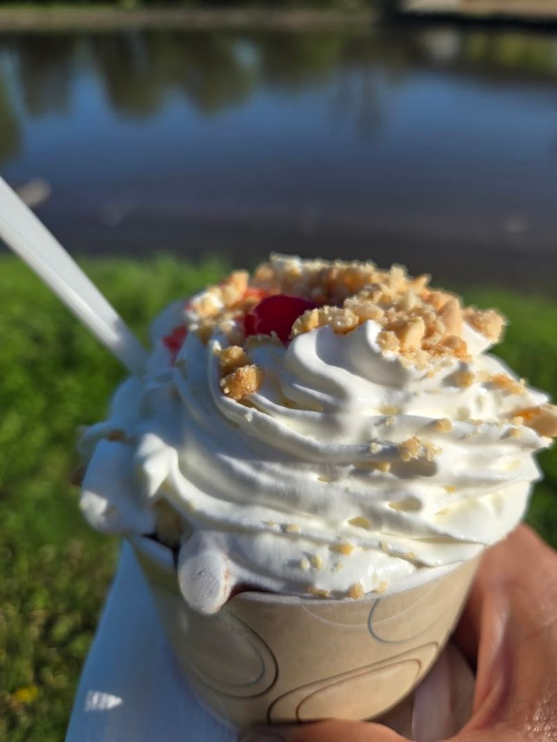 Soft-Serve Swan Song By The Water