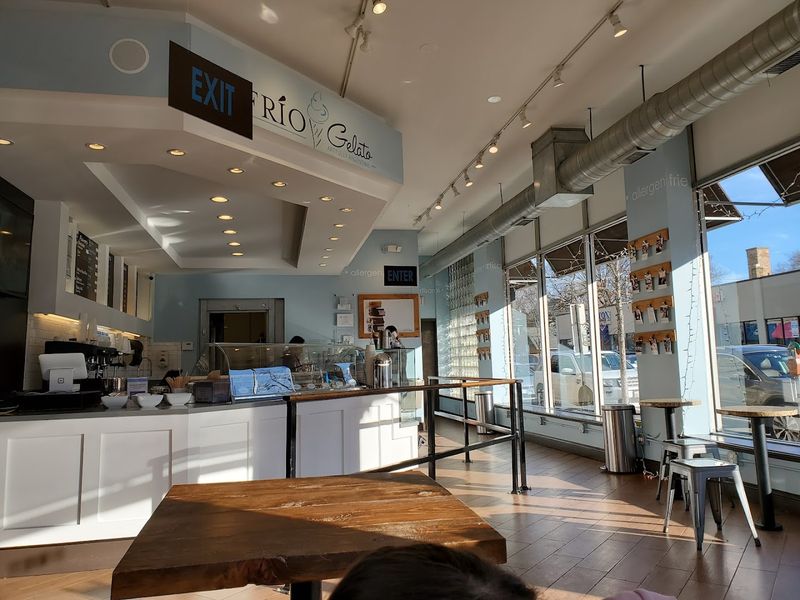 Frio Gelato - Evanston, IL