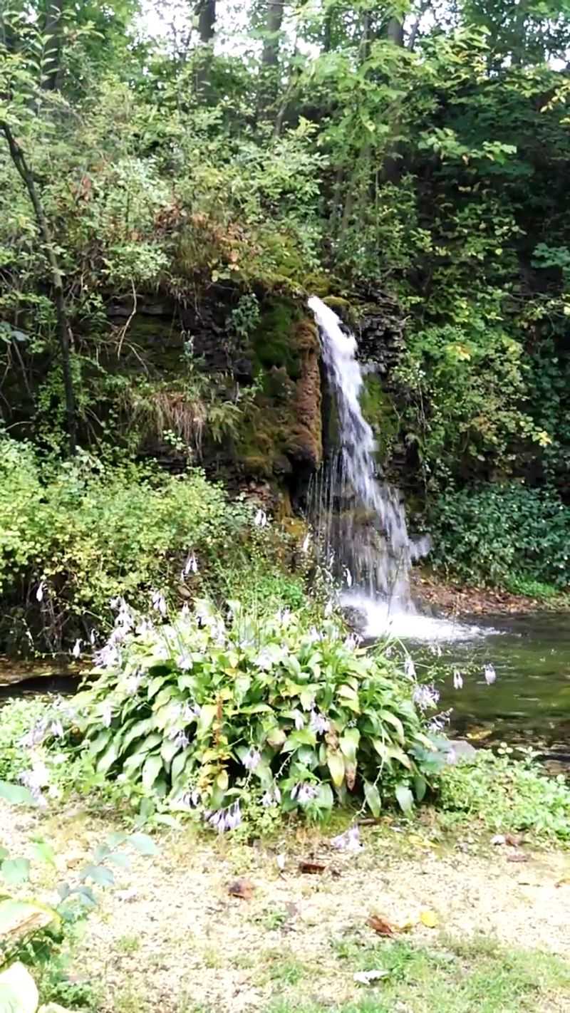 Frog Hunts, Family Photos, And Quiet Moments