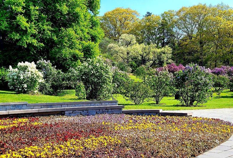 Highland Park / Figueroa Street Corridor