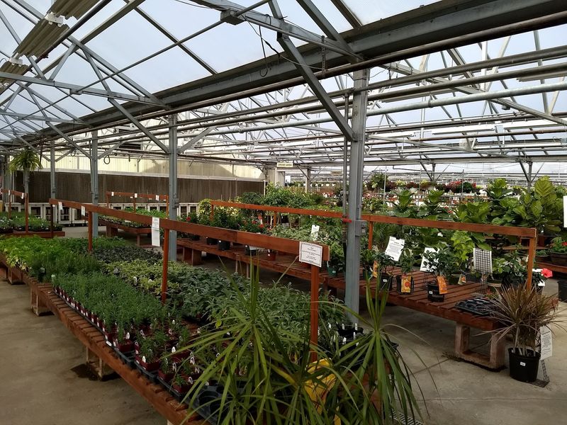 From Carnations To A Third Generation Garden Center