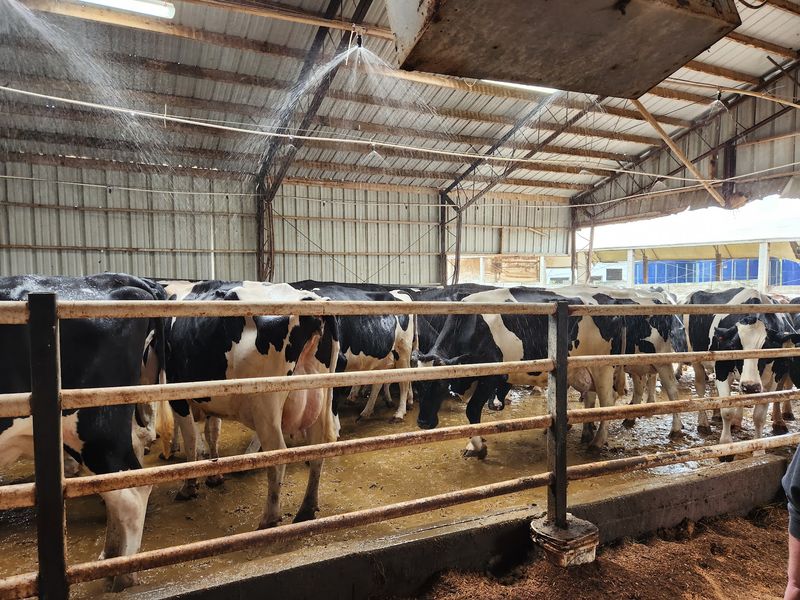 From Cow To Cooler In A Day Is Kind Of A Big Deal