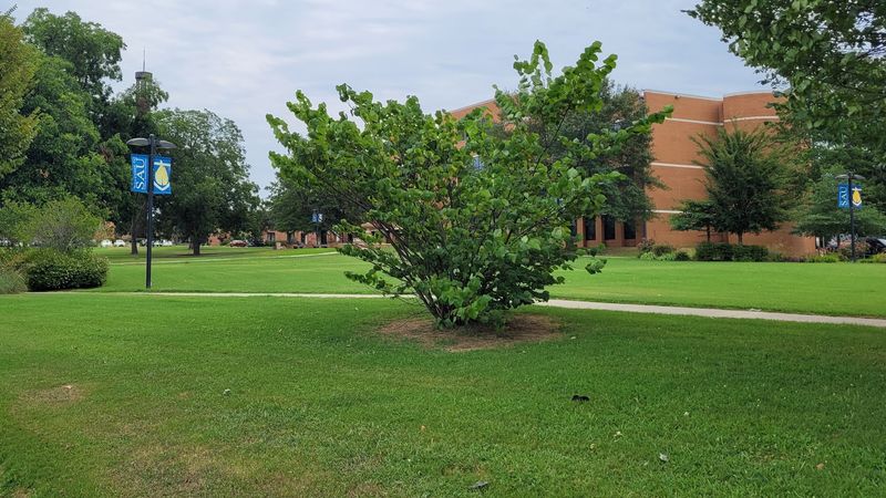 From Farm School Roots To A Proud Magnolia Landmark