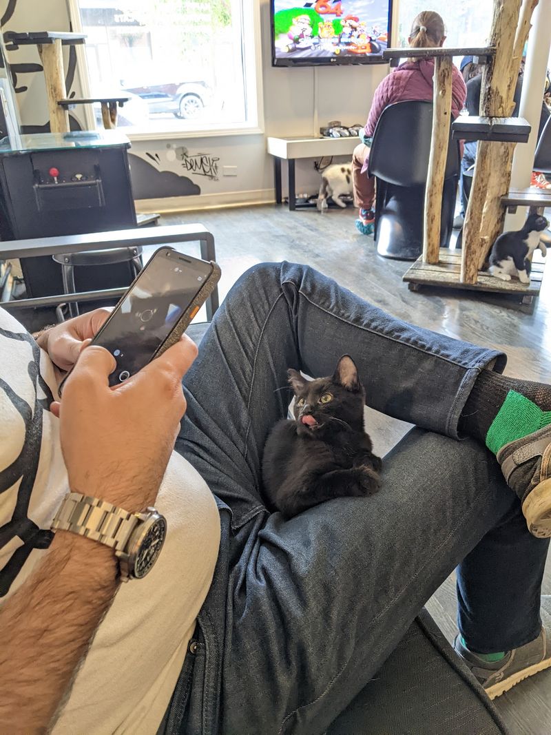 From High-Risk Shelters To A Home-Style Hangout
