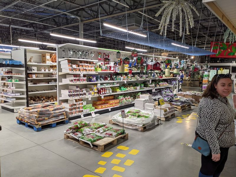 The Sheer Size Will Stop You in Your Tracks