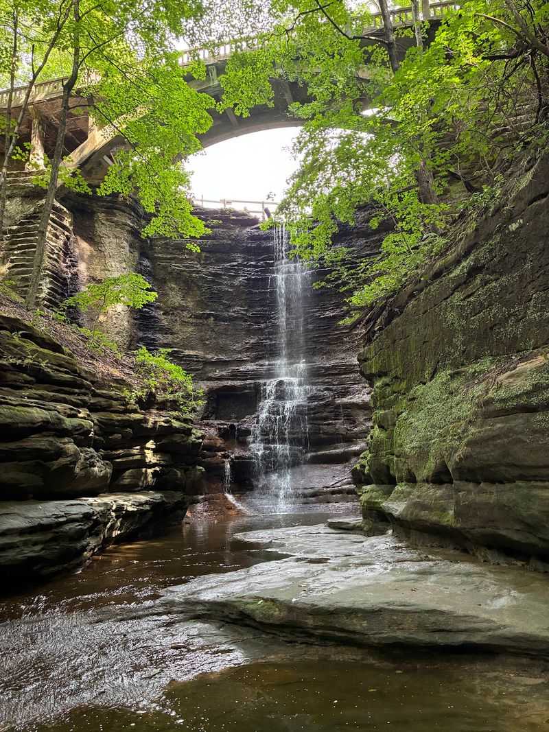 From Private Deer Park To Public Treasure From Private Deer Park To Public Treasure