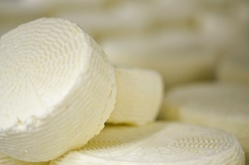 From Seed to Cheese in Twenty-Four Hours