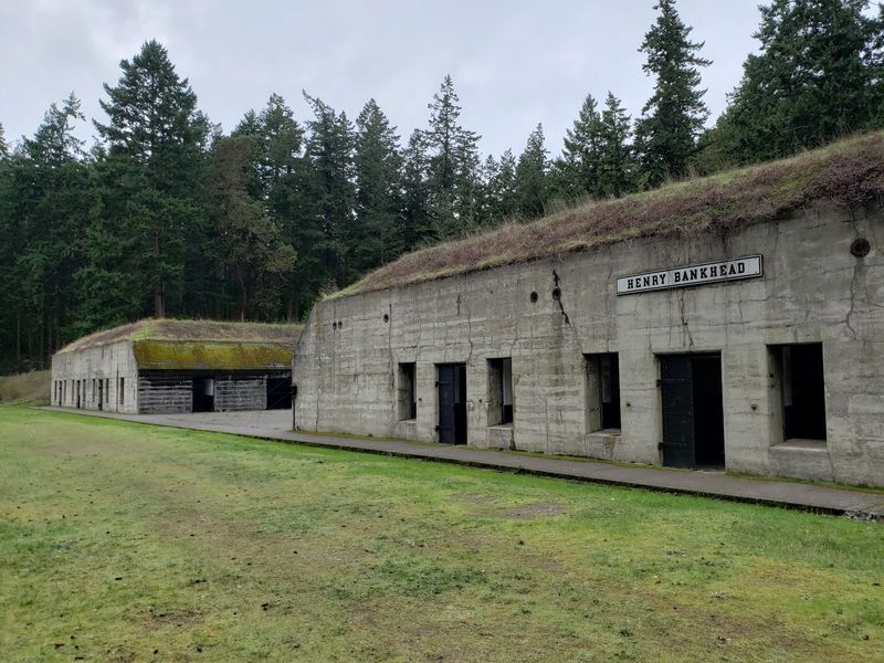 From Shady Woods to Concrete Batteries