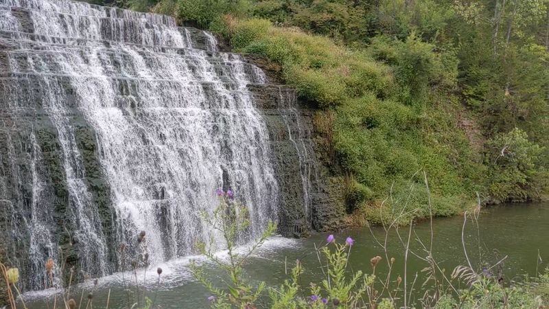 Practical Info: Hours, Cost, And What To Bring