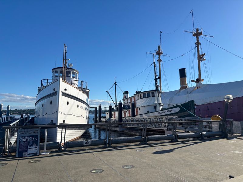 From The Mosquito Fleet To A Public System
