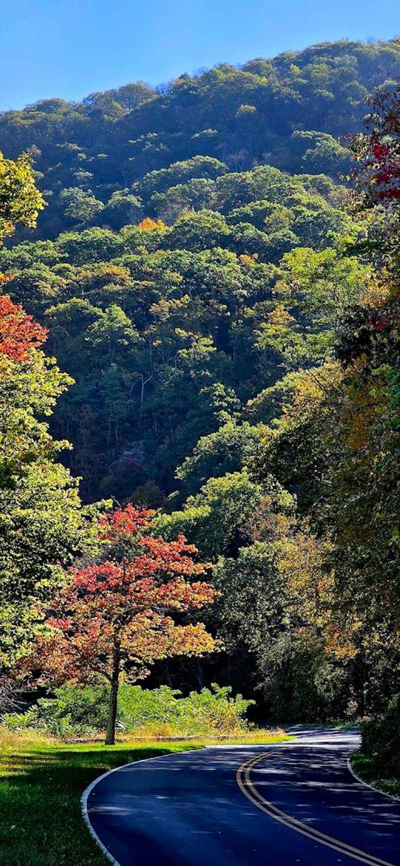 Swift Run Gap To Rockfish Gap