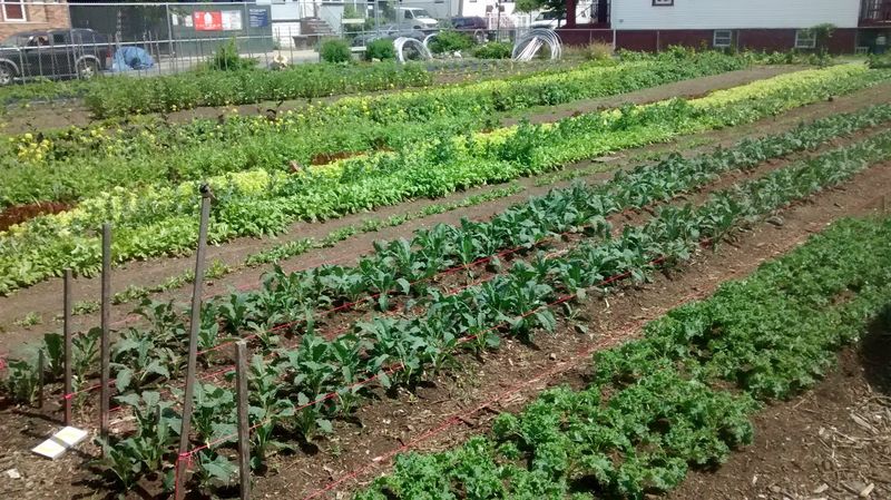 Fruit Acres Farm Market And U-Pick Fruit Acres Farm Market And U-Pick
