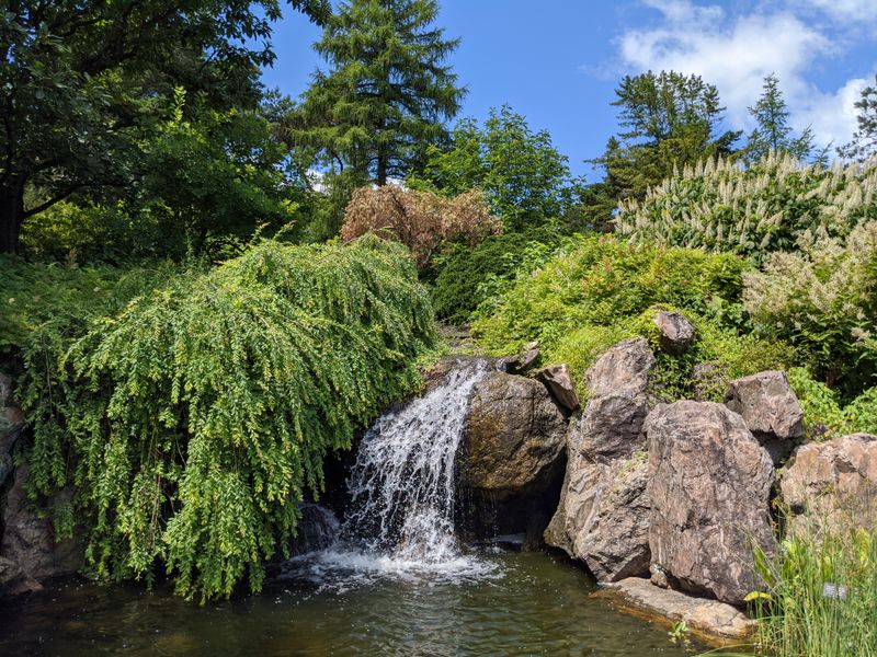 Rose Garden And Color Shows That Stop You Cold