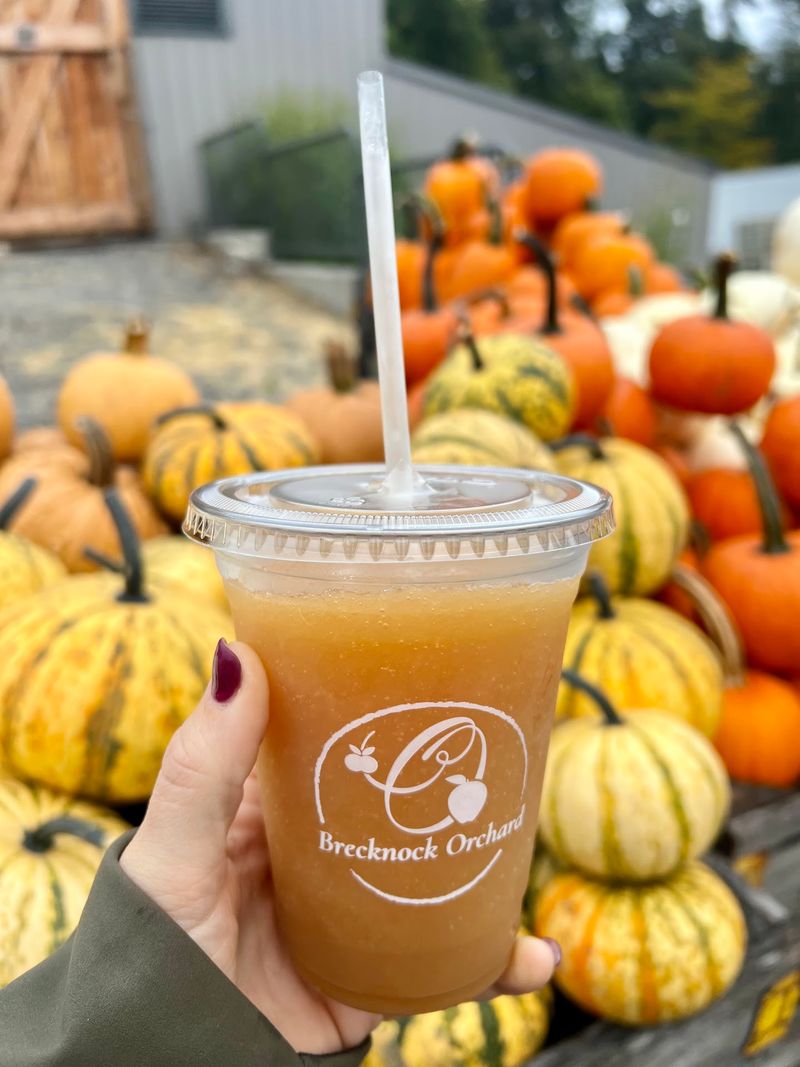 Fruit Slushies Made With Actual Fruit