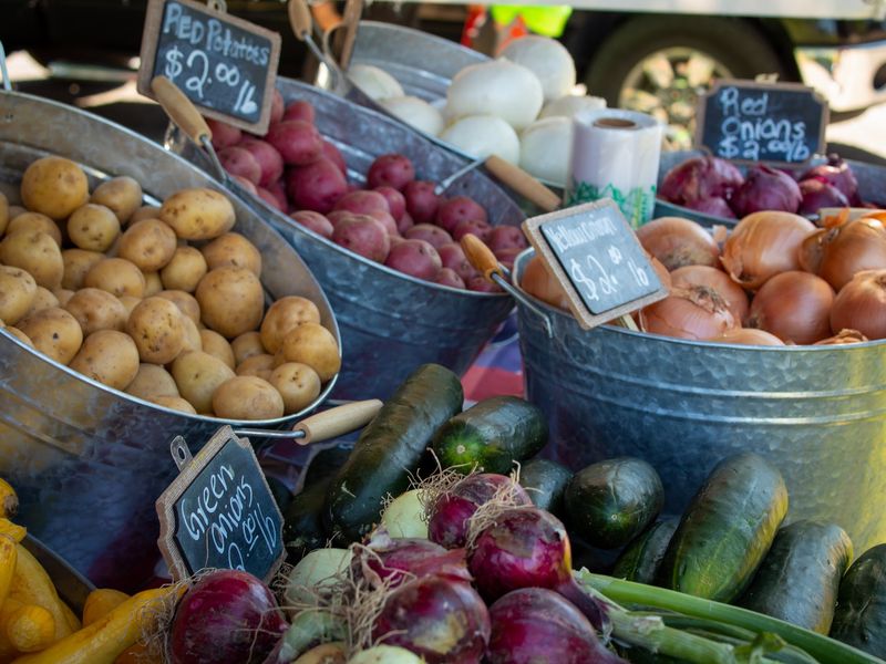 Fruita Farmers Market - Fruita