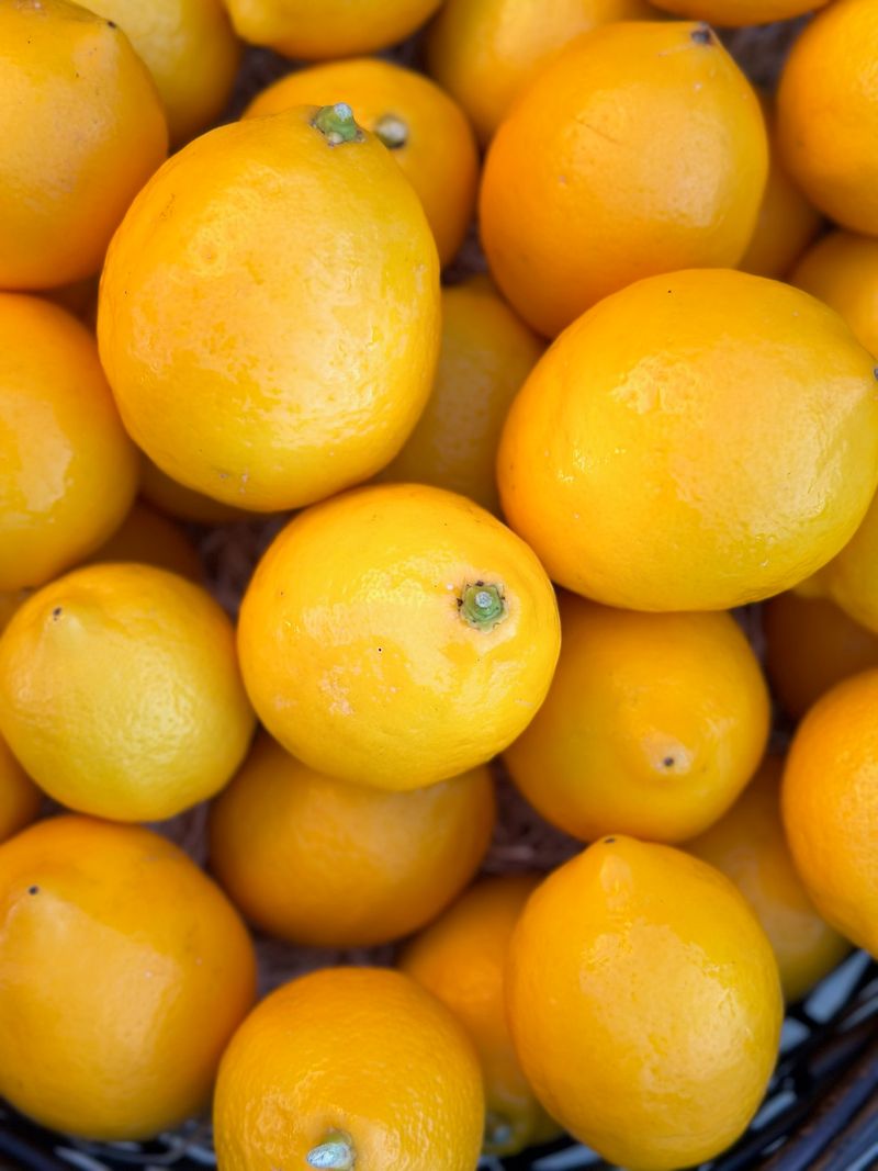 Meyer Lemons