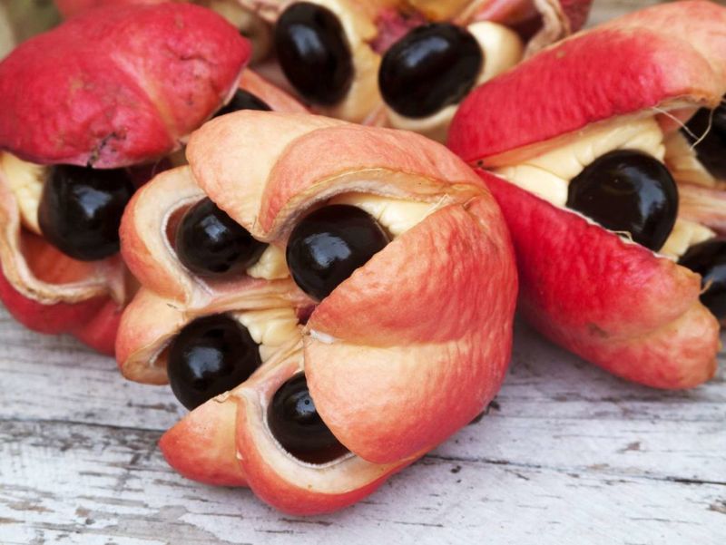 Ackee Fruit: Jamaica's Two-Faced Treasure