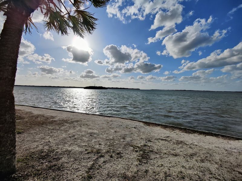 Pet-Friendly Camping With A Dedicated Dog Beach Nearby