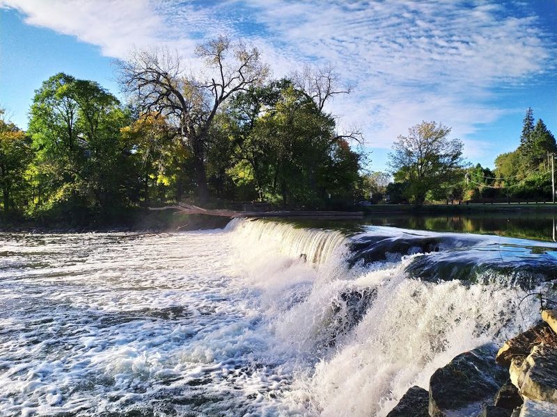 Fullersburg Woods Forest Preserve Setting