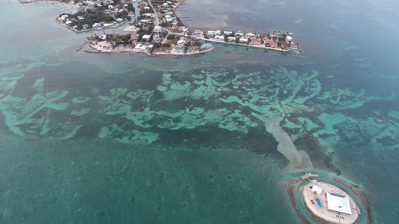 Multiple Hammocks For Ultimate Relaxation