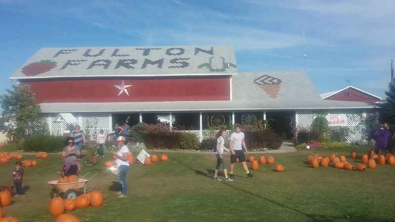 Fulton Farms, Troy