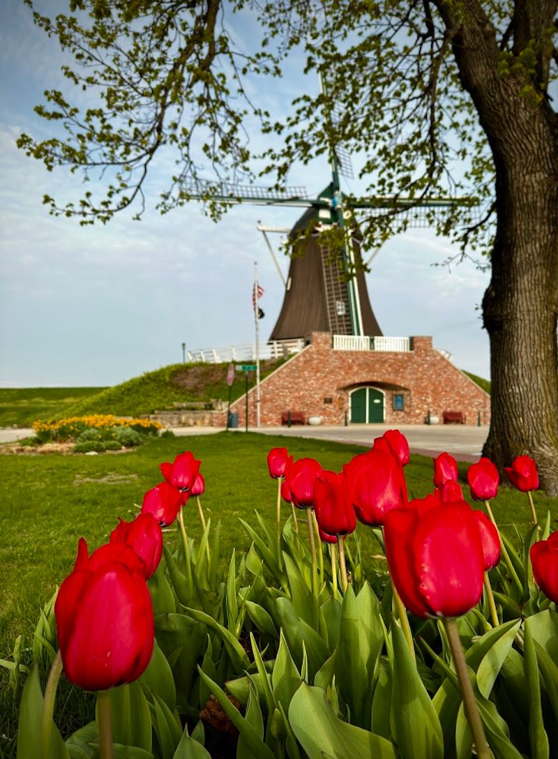 Fulton and the Netherlands Windmill, Fulton, Illinois Fulton and the Netherlands Windmill, Fulton, Illinois