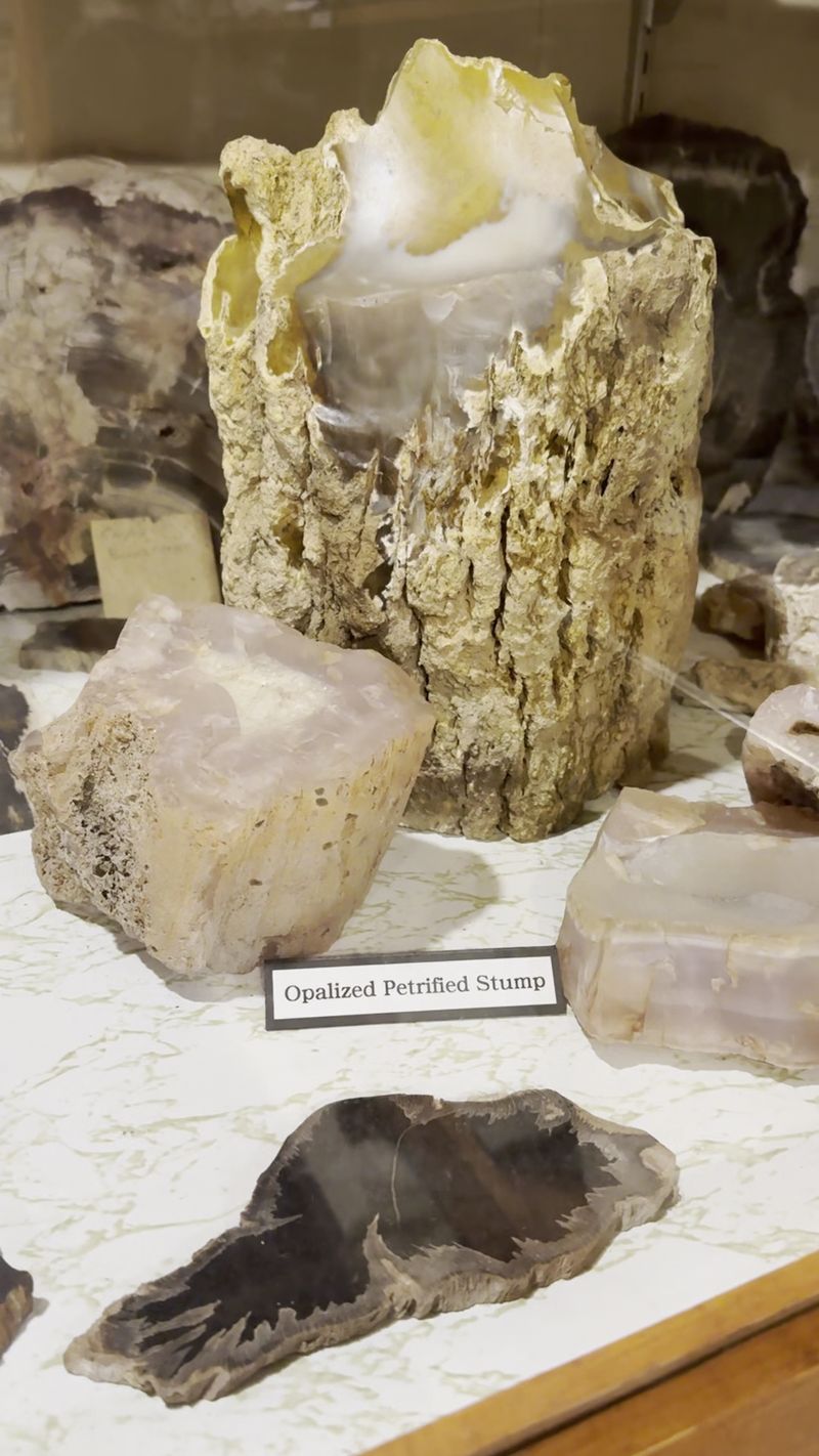 Funk Prairie Home and Gem & Mineral Museum, Shirley, IL