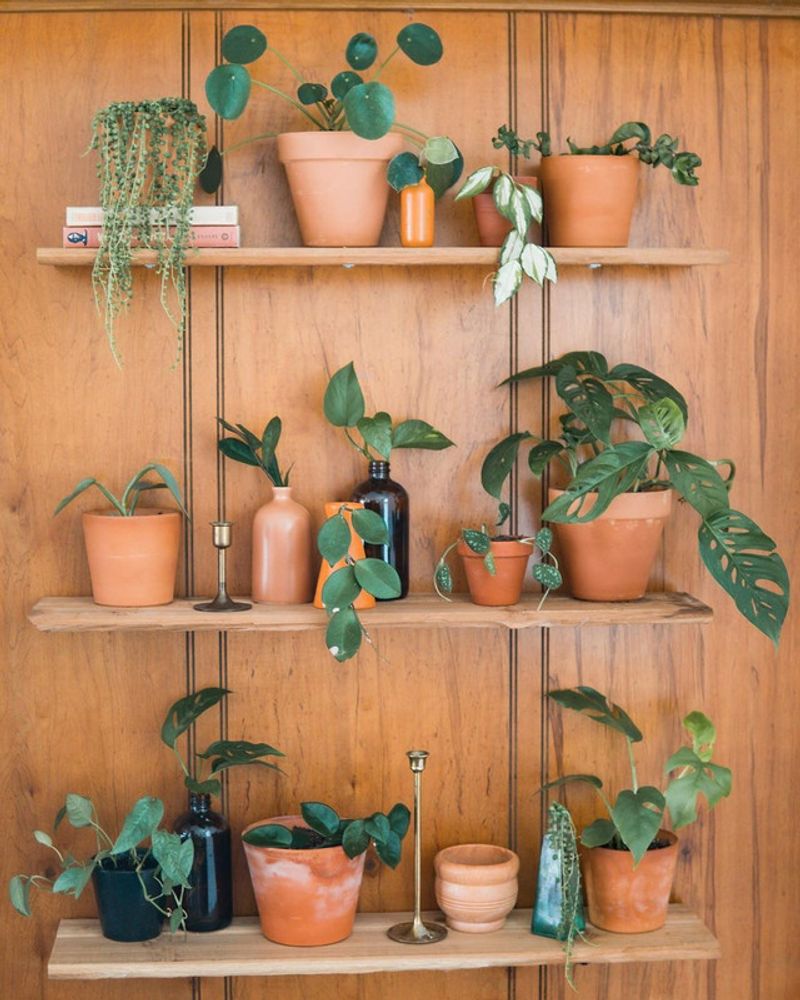 Home Goods That Make Your Space Feel Intentional