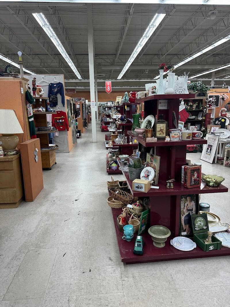 Collectibles, Curiosities, and the Unexpected