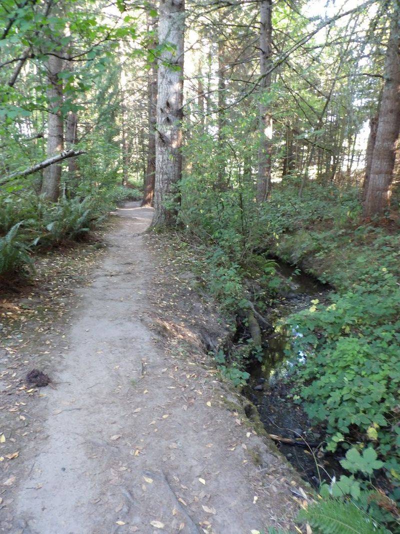 Future Extensions And The Bigger Trail Vision