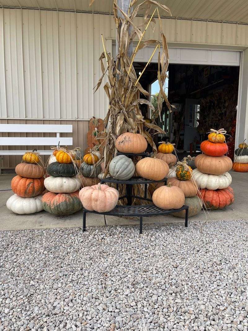 Gail's Pumpkin Patch, LLC, Beason, IL