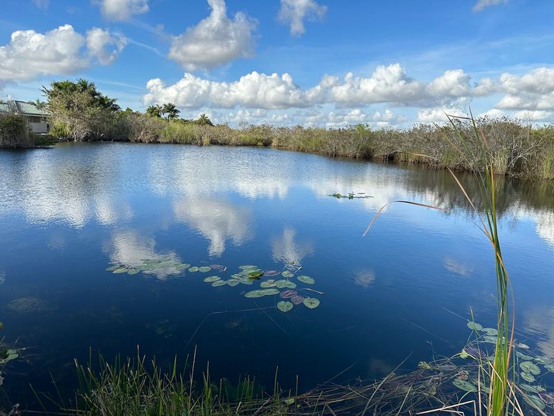 Anhinga Trail, Everglades National Park, Homestead, Florida