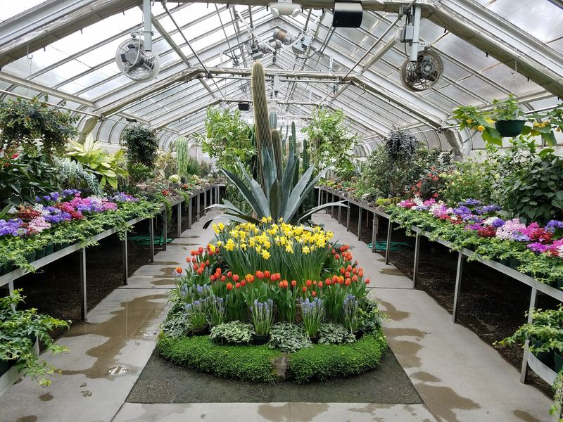 Gaiser Conservatory