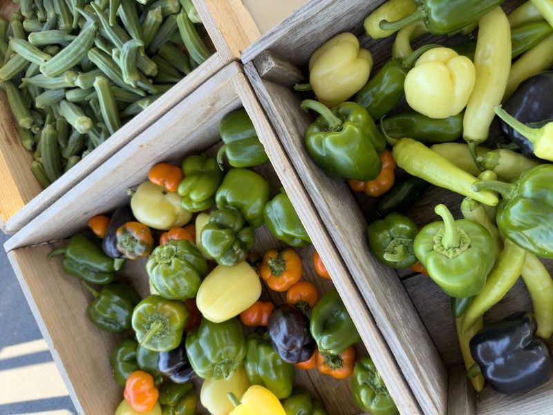 Galena Farmers Market, Galena