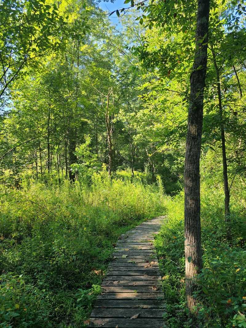 Gallagher Fen State Nature Preserve, Springfield