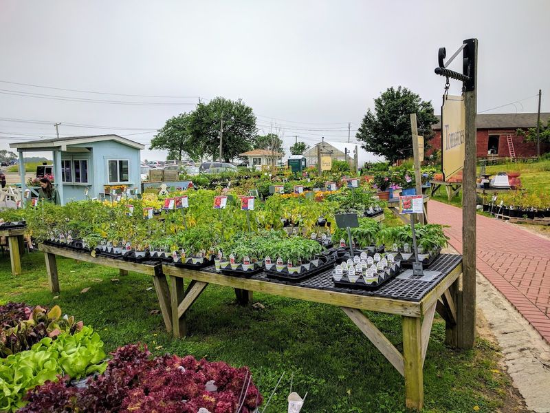 Garden Of Eve Organic Farm & Market