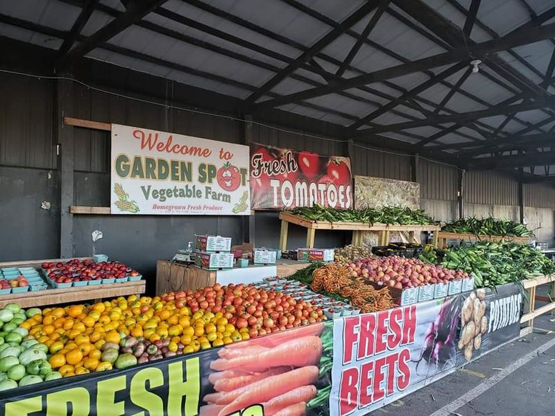 Garden Spot Vegetable Farm, Princeville, IL