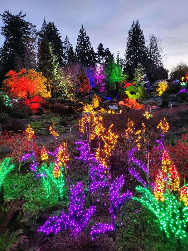 Garden d'Lights and the Magic of Winter Evenings Garden d'Lights and the Magic of Winter Evenings